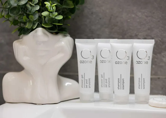 Modern In With View And Fan By Renters *