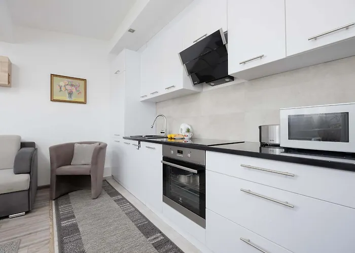 Modern In With View And Fan By Renters Lejlighed *