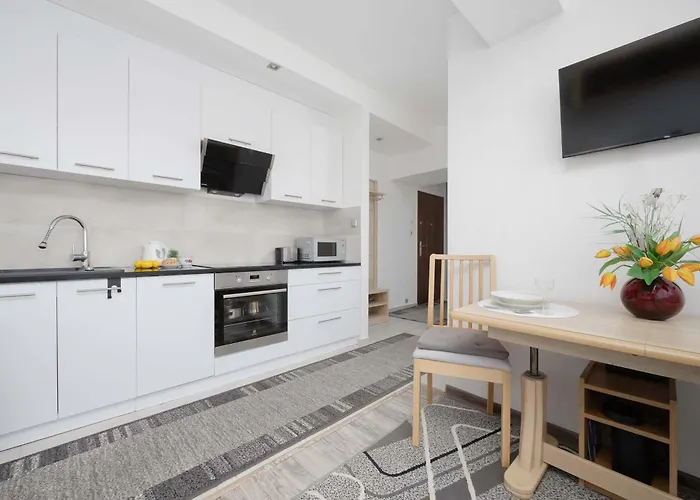 Modern In With View And Fan By Renters *