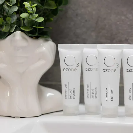 Modern In With View And Fan By Renters *