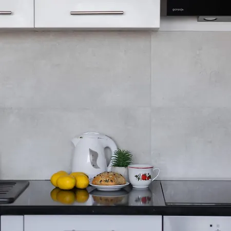 Appartement Modern In With View And Fan By Renters