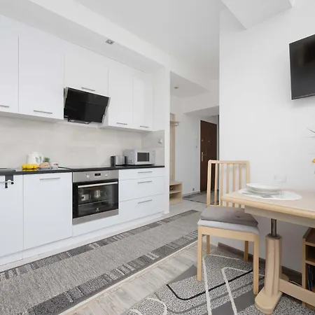 Modern In With View And Fan By Renters *